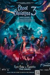 Bhool Bhulaiyaa 3 2024 Hindi Movie 